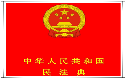 《中华人民共和国民法典》（十）